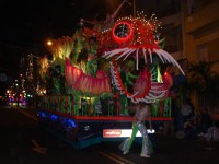 Carnival 2007, Santa Cruz de Tenerife