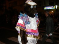 Carnival 2007, Santa Cruz de Tenerife