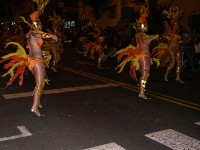Carnival 2007, Santa Cruz de Tenerife