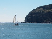 'Dart Warrior heads South