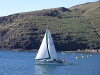 Fairwinds in the harbour