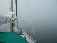 Fog