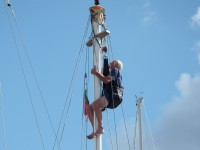 Gerry up Nell Gwyn II's mast