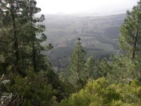 'Looking back down towards El Pino