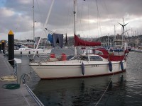 Maxi Magic 'Esteri II'
