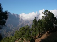 'The National Park in the Taburiente crater