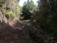 'The path down near the top