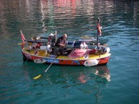 Puffin leaving