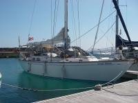 Star Swan