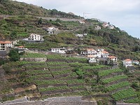 A Vertical Landscape