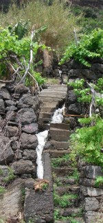 Water running everywhere